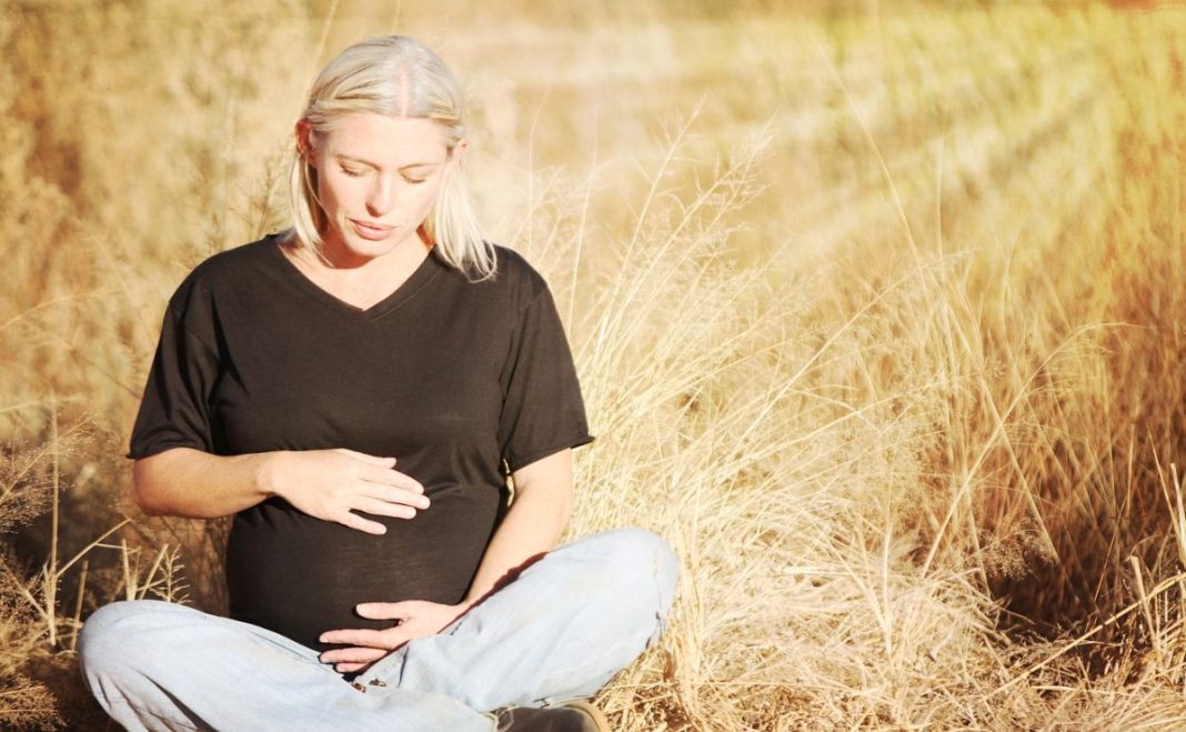 asignacion por embarazo anses